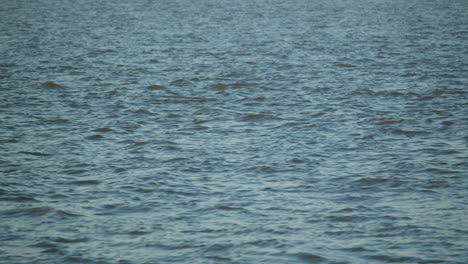 the sea shimmering in the late afternoon sun at caister on sea