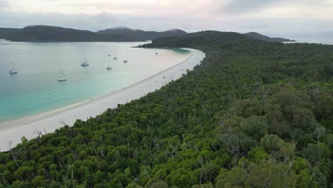 Der-Schroffe,-Dichte-Walddschungel-Grenzt-An-Einen-Idyllischen-Sandstrand-Mit-Segelbooten