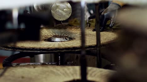 olive oil mill in south of italy- olive oil production