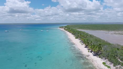 el increíble agua del océano turquesa de la isla tropical de catalina playa en la república dominicana, vista aérea de avión no tripulado