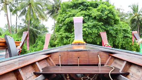 traditional boat amidst lush tropical scenery