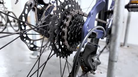 focus on the mechanics of a bicycle's transmission, highlighting the cassette and derailleur