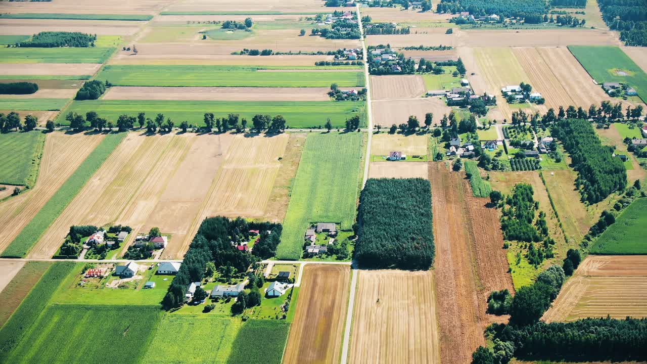 Bird's eye view of agricultural area and green wavy fields in sunny day
