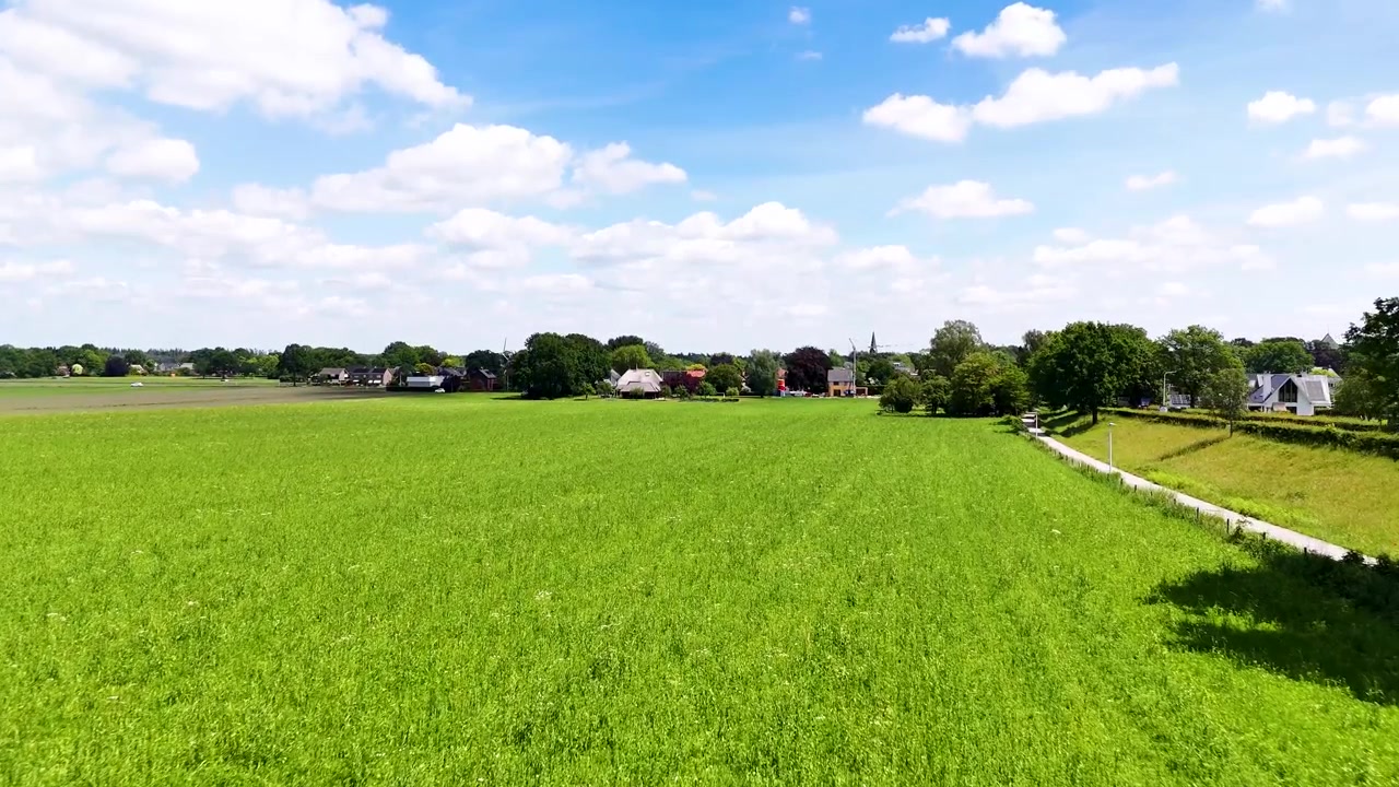 青空の下、青々とした牧草地と田園風景。