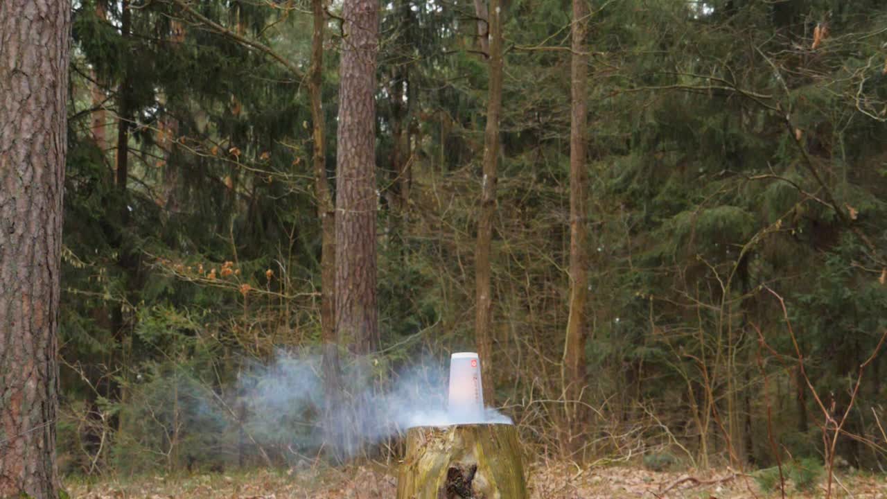 Slowmotion of exploding Christmas tree.