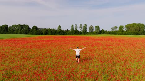 drone follows man in white shirt as he walks freely through blooming poppies