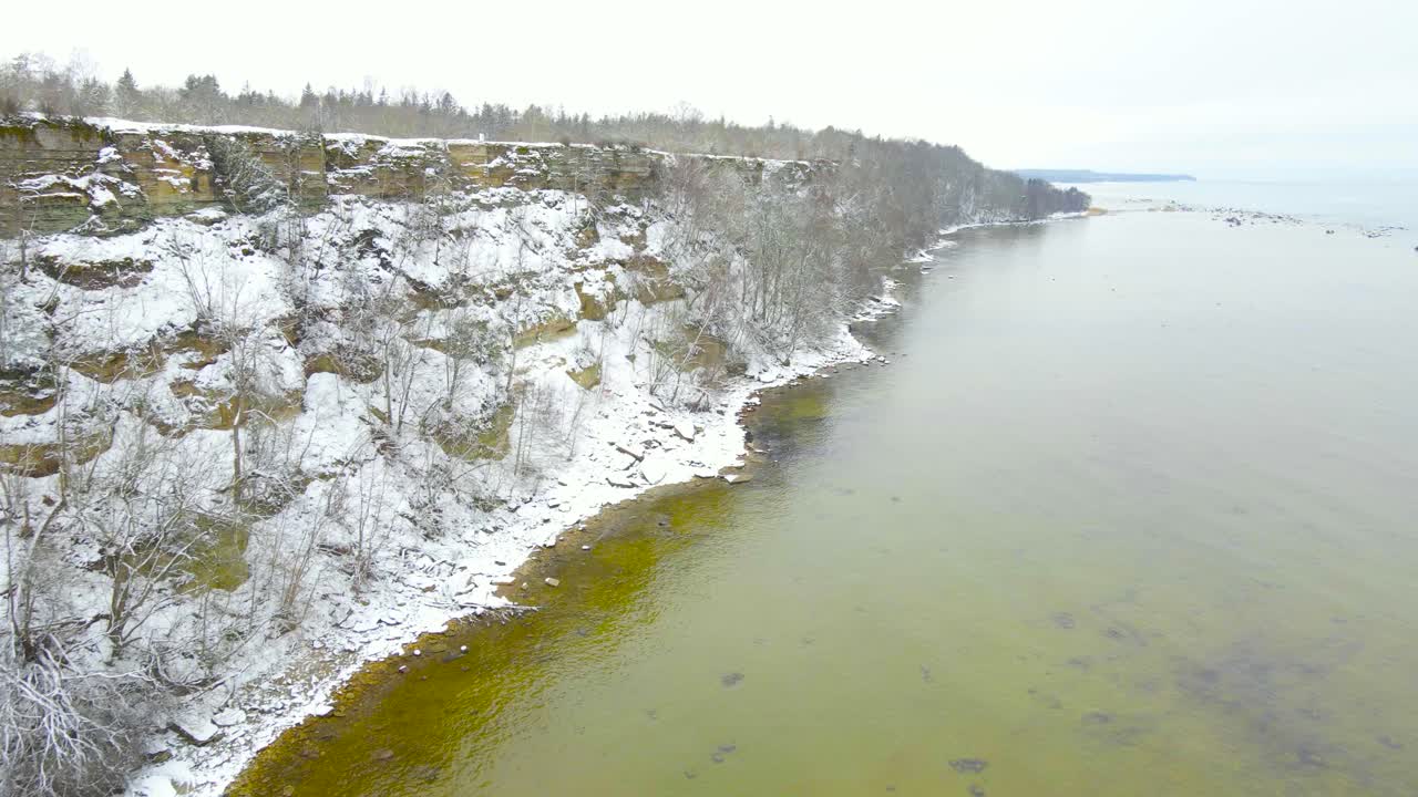 Aerial view of flying over water alongside snow covered Tabasalu limestone cliff bank. Estonian winter shoreline with calm earthy sea water. Cliffed coast with bare trees, coastline serene ambiance