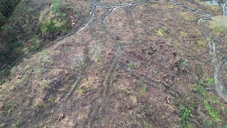 Aerial-footage-showing-what's-left-behind-after-a-forest-has-been-clear-cut-and-the-impact-the-heavy-machinery-have-on-the-land--Camera-tilting-up