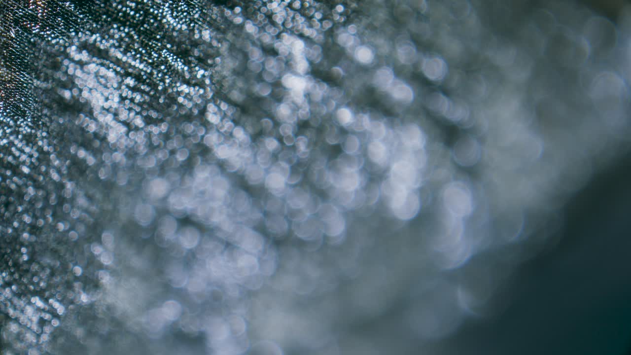 Charcoal particles with porous structure under microscope