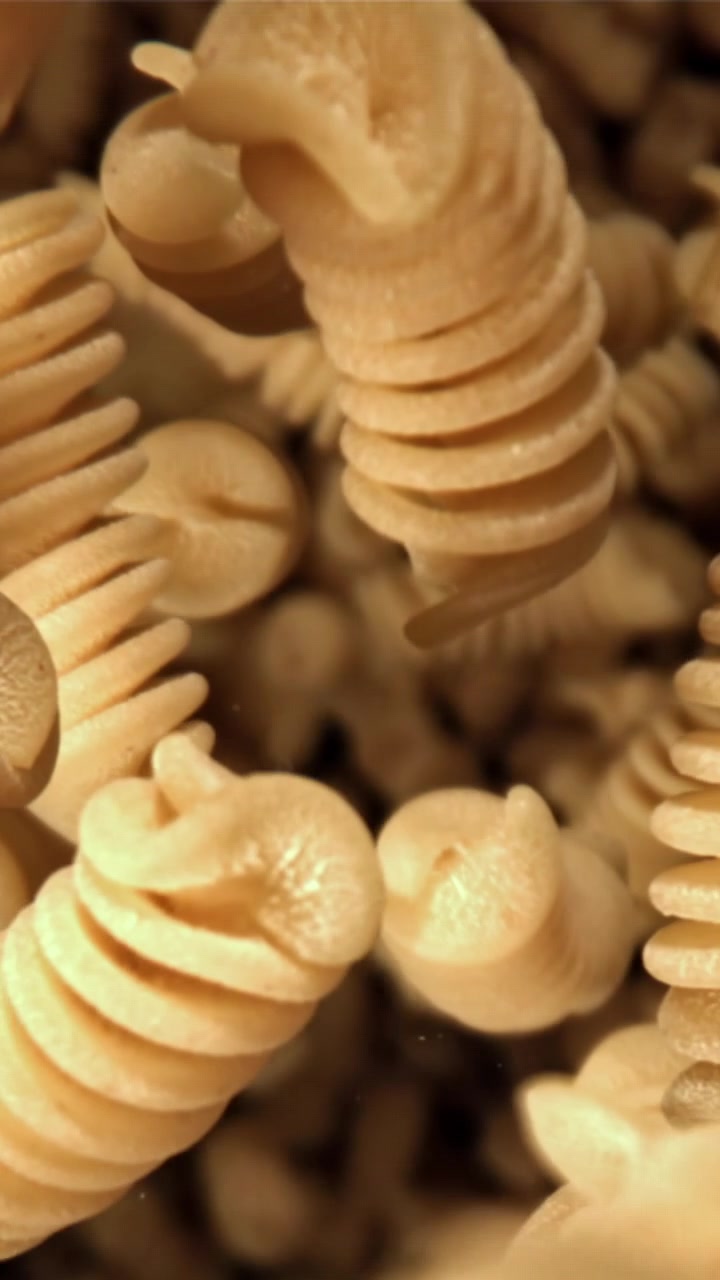 Close-up of Dry Fusilli Pasta Falling in Slow Motion
