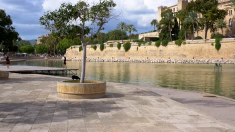 a dog who’s playing with his leash infront of a small pond, in the background there is some people preparing for a photo shoot