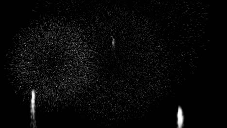 fireworks animation motion graphics