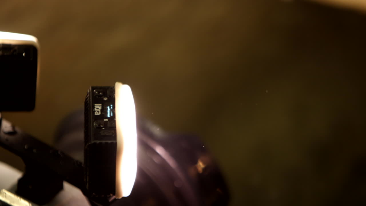 director de fotografía filmando con un caimán bajo el agua
