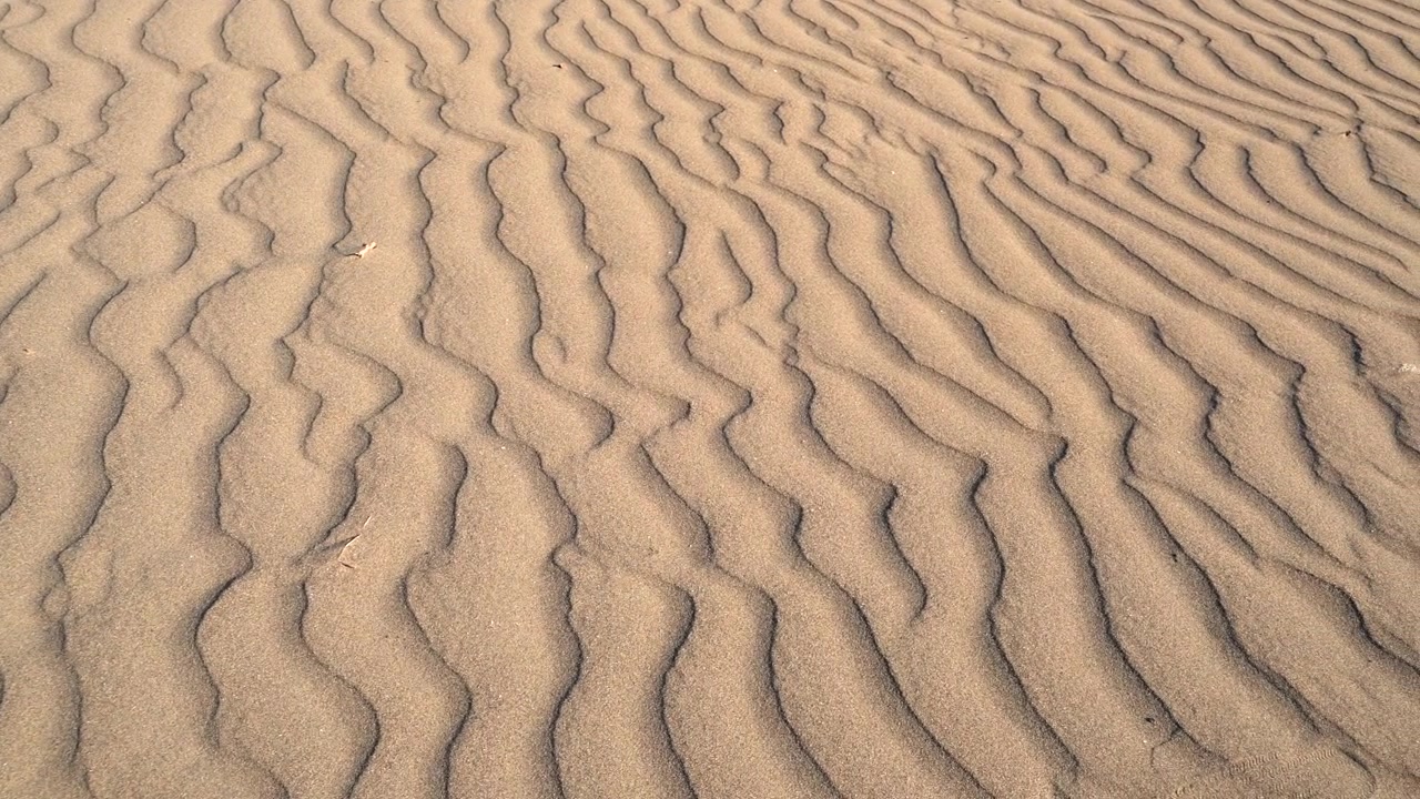 Wind-Blown Sand Ripples on a Desert Dune