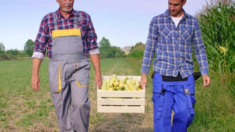 Agricultores-Experimentados-Caminando-Por-El-Campo-De-Maíz