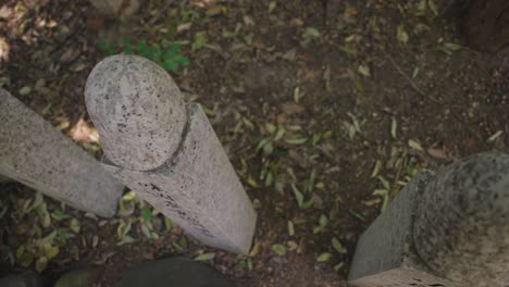 penis shaped fence posts at tagata taisha, home of hounensai fertility festival