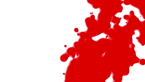 abstract flowing red liquid and splashes spots on white gradient