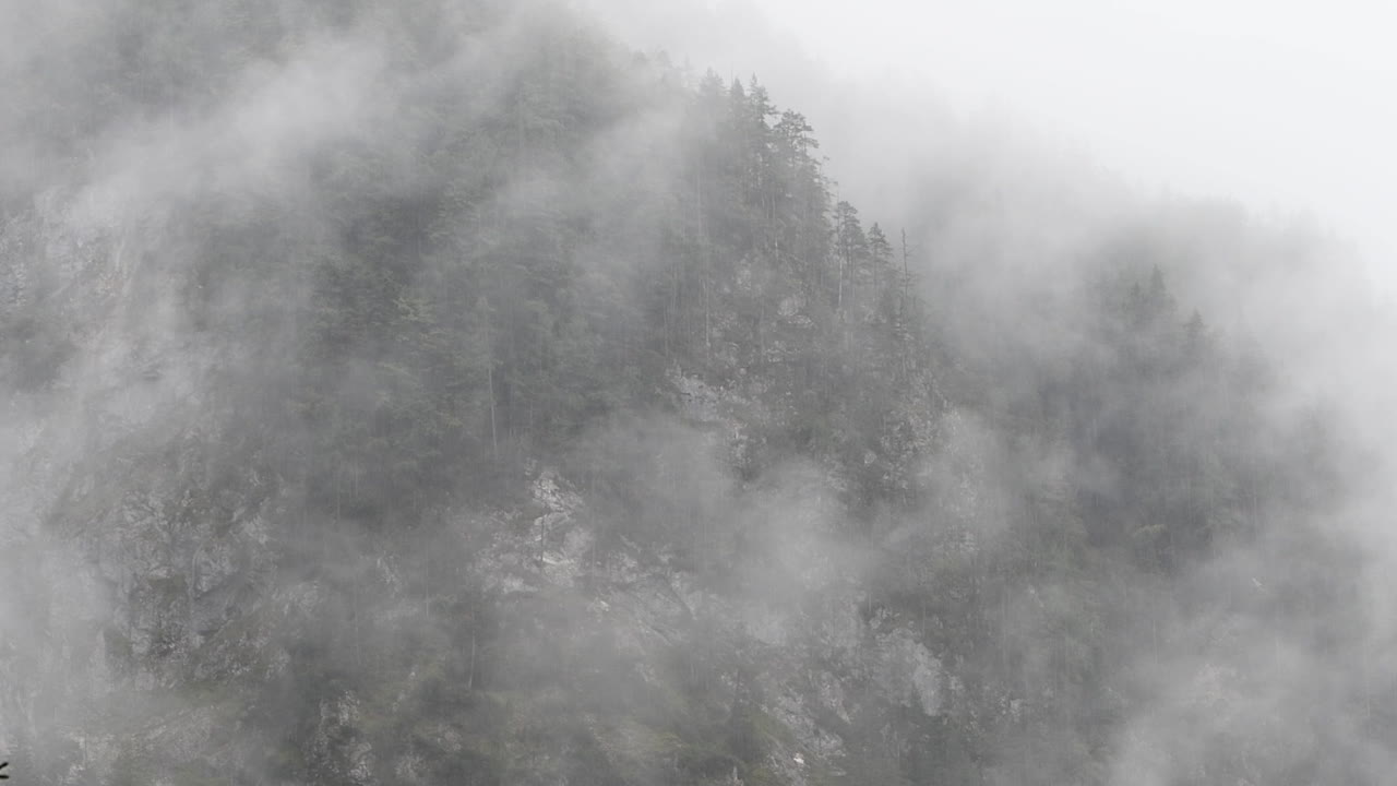 낮은 구름, 로가르스카 돌리나, 슬로베니아, 구름과 안개가 나무 뒤에서 천천히 움직이는 고산 계곡의 비오는 날, 예측할 수 없는 산악 날씨, 등산객과 등반가의 위험, hd