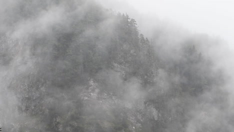 rainy day in alpine valley with low clouds, logarska dolina, slovenia, clouds and fog slowly moving behind trees, unpredictable mountain weather, danger for hikers and climbers, hd