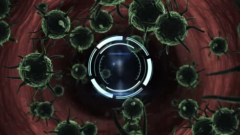 Animation-Eines-Kreisförmigen-Scanners,-Der-Sich-über-Rote-Blutkörperchen-Dreht