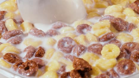 breakfast chocolate corn cereal in a bowl with milk.