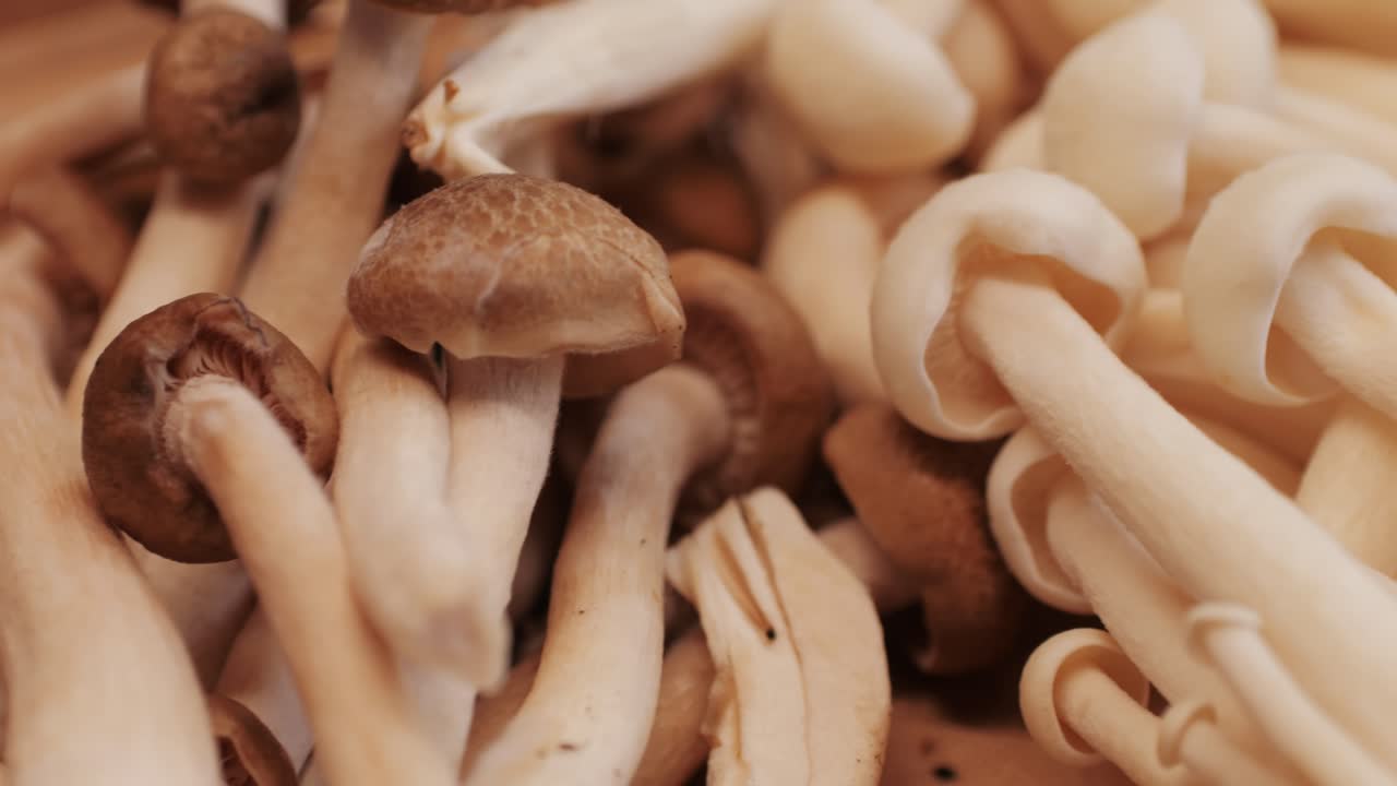 Cooking honey mushroom on black pan with oil close-up. Mushrooms frying on boiling pan for garnish. Armillaria is honey fungi that live on trees and woody shrubs