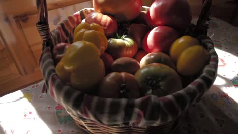 tomatoes in organic vegetable garden