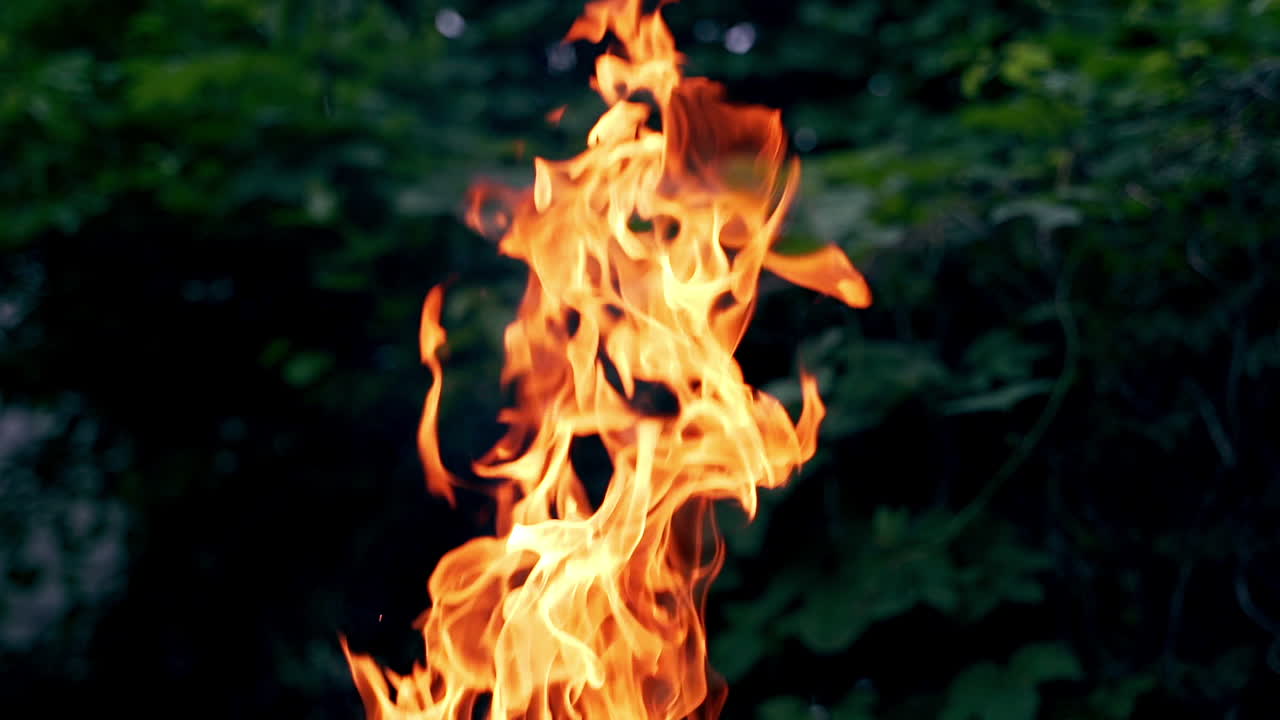 Close-up view of large red and yellow fire flame outdoors. Natural texture of bright fire on green leaves background in the evening.