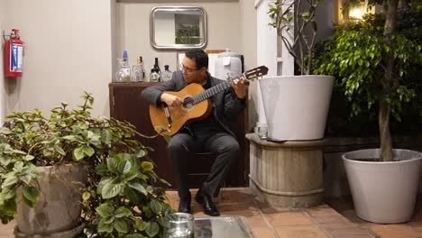 shot of guitarrist during a private concert in mexico city