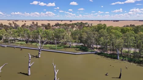 Antena-Acercándose-Al-Nuevo-Puente-Para-Caminar-Y-Andar-En-Bicicleta-Sobre-El-Lago-Mulwala,-Nueva-Gales-Del-Sur,-Australia