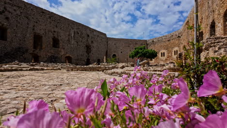 Chlemoutsi-Castle-walls-and-buildings-with-blooming-purple-flower-bellow,-panning-view