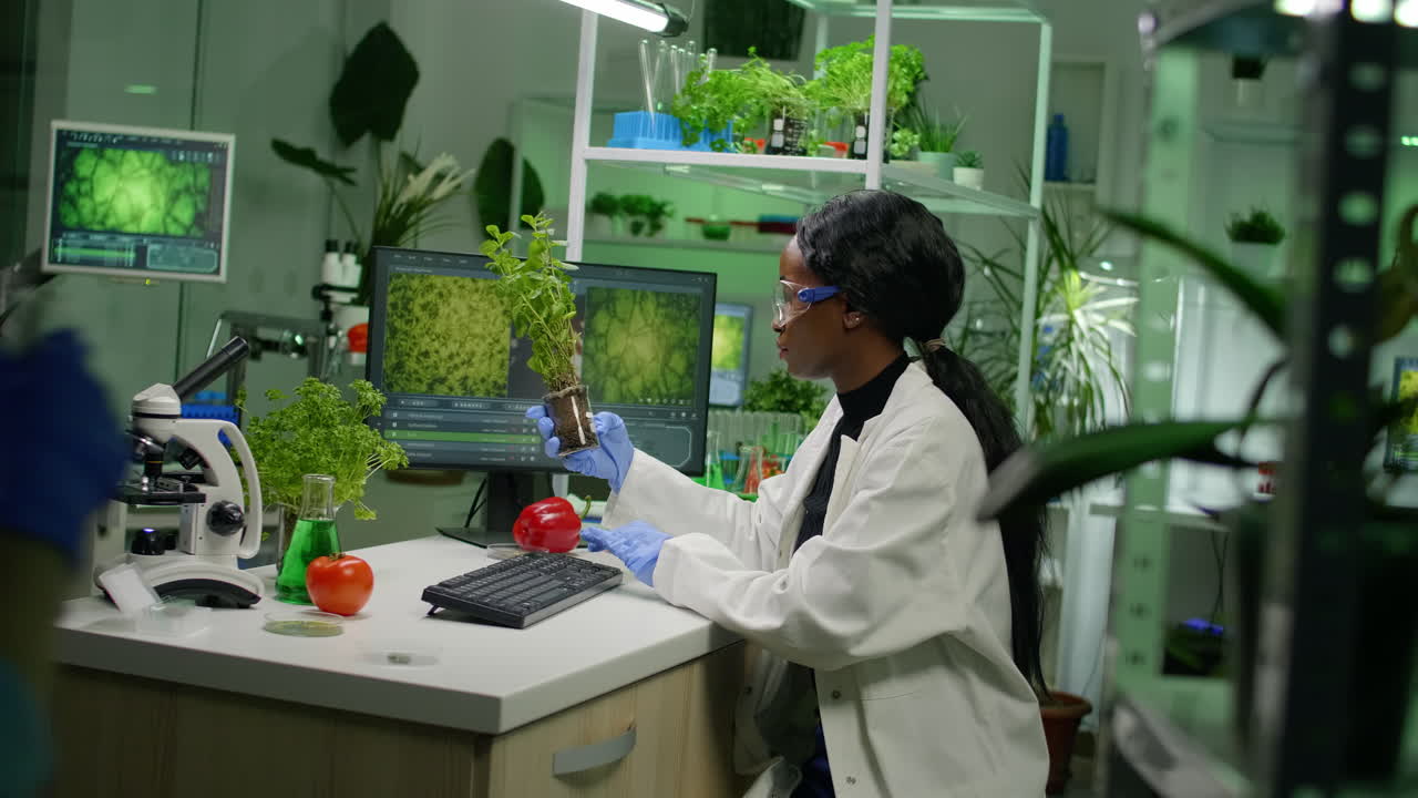 Scientist woman analyzing sapling while typing pharmaceutical expertise
