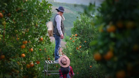 family gardeners