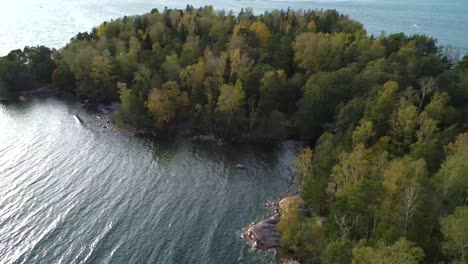 a high angle shot of a green forest landscape near a lake with a rocky shore