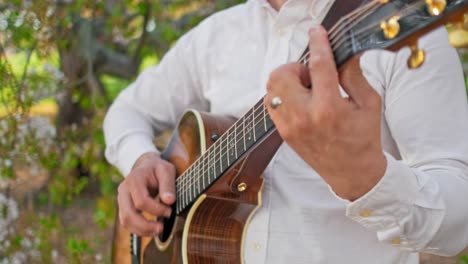 guitarist strumming his guitar and singing in a park while leaning on a tree in united states