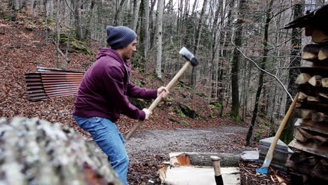 hardships of labour life lumberjack at lauterbrunnen switzerland