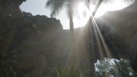 Große-Palmen-In-Einer-Steinhöhle-Mit-Sonnenstrahlen