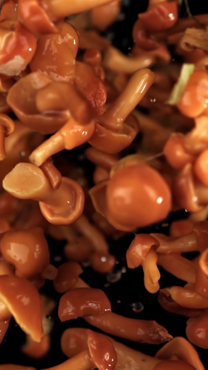 Ferske brune sopp fallende i sakte film på svart bakgrunn
