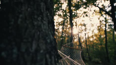 cinematic tilt up footage of a cotton rope hammock in the woods with the sun shining through the leaves stabilized