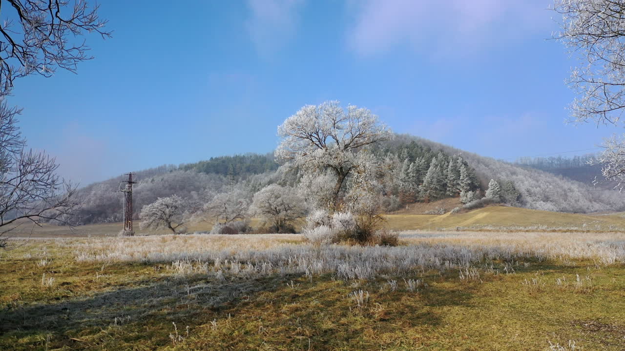 산을 배경으로 아름다운 풍경을 드러내며 뒤로 날아가다