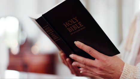 hands, woman and reading bible