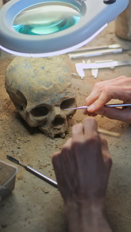 archaeological skull cleaning