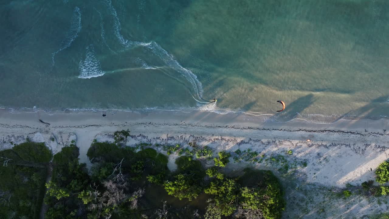 열대 해변 에서 카이트보딩 을 하는 공중 에서 볼 수 있는 모습