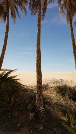 serene desert oasis with palm trees