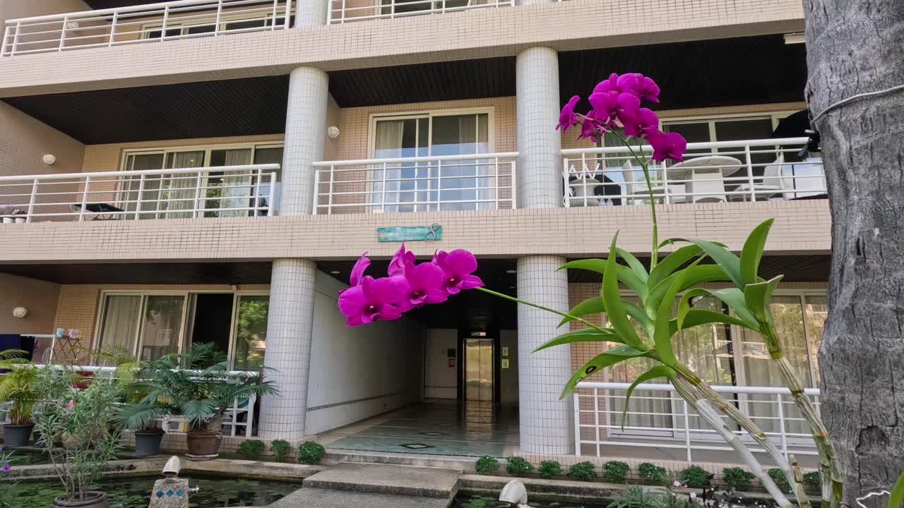 건물의 발코니에서 떨어지는 꽃