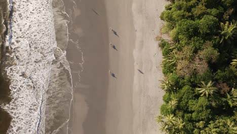 la gente en tres caballos cabalga lentamente a lo largo de una hermosa playa al atardecer con naturaleza tropical bordeando el océano