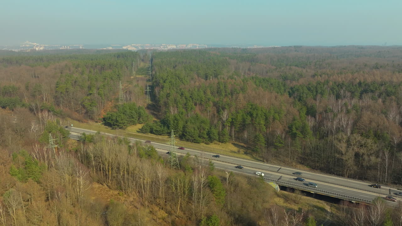 la autopista atraviesa el bosque en su aproximación a gdynia, fotografía aérea, con la línea de árboles retrocediendo hacia la ciudad, reflejando una mezcla de entornos naturales y urbanos