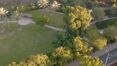 small park filled with grass