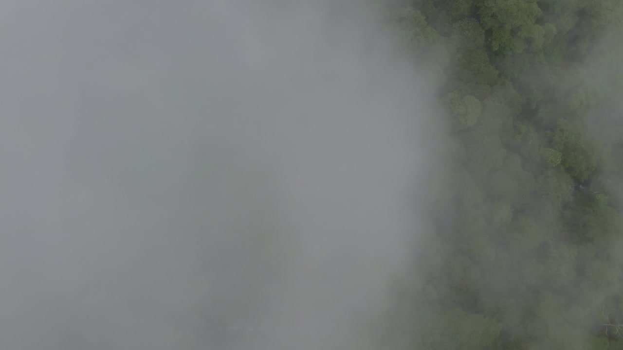 푸른 빽빽한 열대우림, 산 루이스 모레테, 코스타리카로 둘러싸인 곡선 도로를 드러내는 구름의 공중 하향식