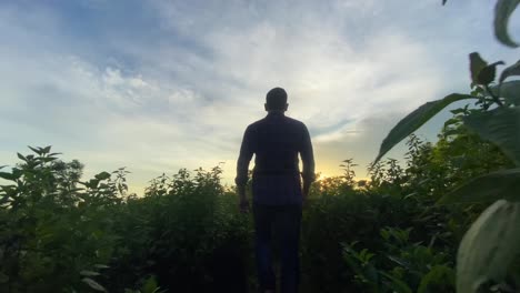 joven viajero de aventuras camina por la selva para presenciar el amanecer